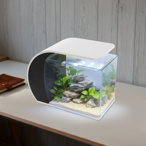 Acquario vetro con pompa - in, e