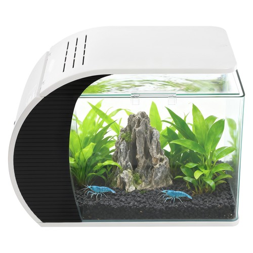Acquario vetro con - vetro, e