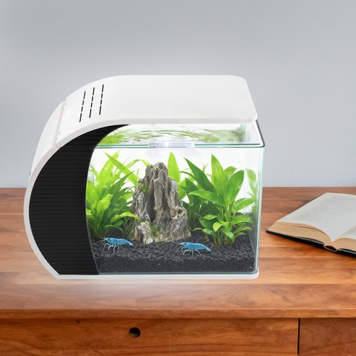Piccolo acquario vetro - acquario,
