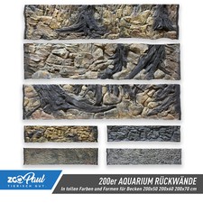 🐠 Parete posteriore