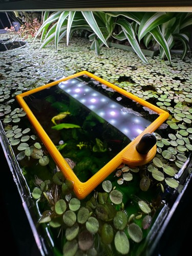 Anello per acquario