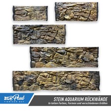 🌟🌟🌟🌟🌟 Parete