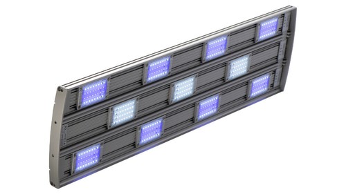 Daytime pendix 300 - daytime,