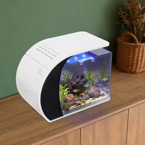 Piccolo acquario vetro - acquario, in