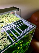 Anello Galleggiante per