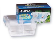 scatola di deposizione delle